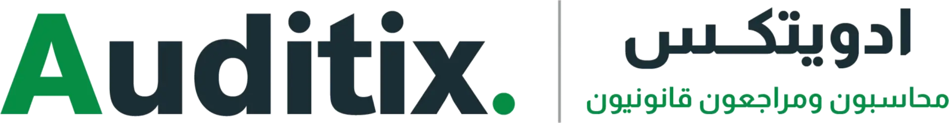 auditix logo transparent